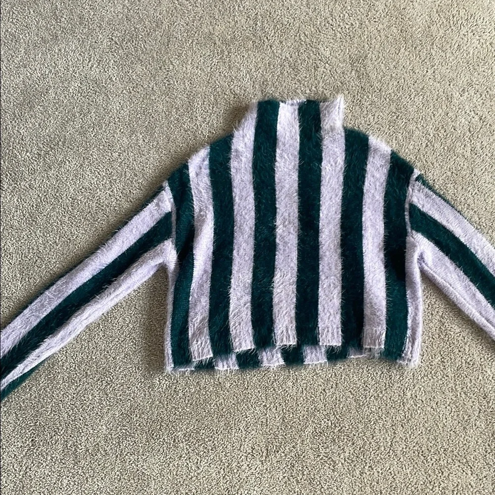 Blank NYC Striped Sweater - Green and Purple